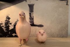 IMG_1577-scaled