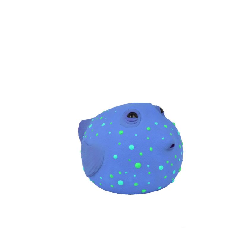 AMELIA DEEP SEA