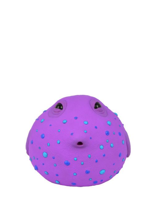 amelia frontal blueberry web